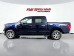 2021 F-150 Thumbnail 4