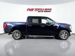 2021 F-150 Thumbnail 8
