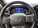 2021 F-150 Thumbnail 10