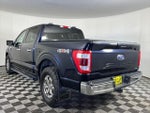 2021 F-150 Thumbnail 8