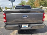 2021 F-150 Thumbnail 6