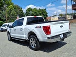2021 F-150 Thumbnail 5