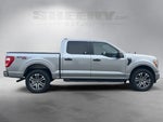 2021 F-150 Thumbnail 10