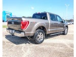 2021 F-150 Thumbnail 4