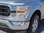 2021 F-150 Thumbnail 2