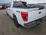 2021 F-150 Thumbnail 3