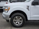 2022 F-150 Thumbnail 9