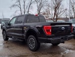 2022 F-150 Thumbnail 4