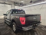 2022 F-150 Thumbnail 4