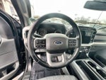 2022 F-150 Thumbnail 13