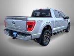 2022 F-150 Thumbnail 5