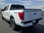 2022 F-150 Thumbnail 14