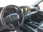 2022 F-150 Thumbnail 13