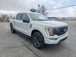 2023 F-150 Thumbnail 4