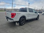 2023 F-150 Thumbnail 6