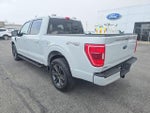 2023 F-150 Thumbnail 8