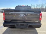 2023 F-150 Thumbnail 4