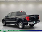 2023 F-150 Thumbnail 6