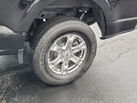 2023 F-150 Thumbnail 10