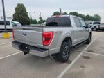 2023 F-150 Thumbnail 4