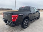 2023 F-150 Thumbnail 5