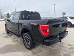 2023 F-150 Thumbnail 7