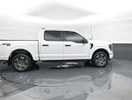 2023 F-150 Thumbnail 4