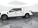 2023 F-150 Thumbnail 5