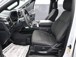 2023 F-150 Thumbnail 11