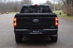 2023 F-150 Thumbnail 24