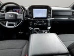 2023 F-150 Thumbnail 14