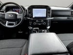 2023 F-150 Thumbnail 14