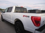 2023 F-150 Thumbnail 4