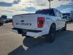 2023 F-150 Thumbnail 6