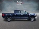 2023 F-150 Thumbnail 4