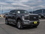 2023 F-150 Thumbnail 3