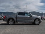 2023 F-150 Thumbnail 4
