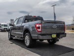 2023 F-150 Thumbnail 7