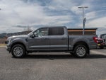 2023 F-150 Thumbnail 8
