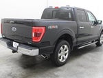 2023 F-150 Thumbnail 16