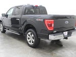 2023 F-150 Thumbnail 17