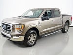2023 F-150 Thumbnail 6