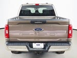 2023 F-150 Thumbnail 10
