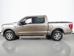 2023 F-150 Thumbnail 11