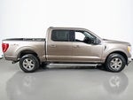 2023 F-150 Thumbnail 12