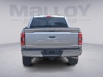 2023 F-150 Thumbnail 4