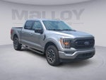 2023 F-150 Thumbnail 7