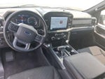 2023 F-150 Thumbnail 12