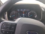 2023 F-150 Thumbnail 14