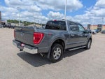 2023 F-150 Thumbnail 8